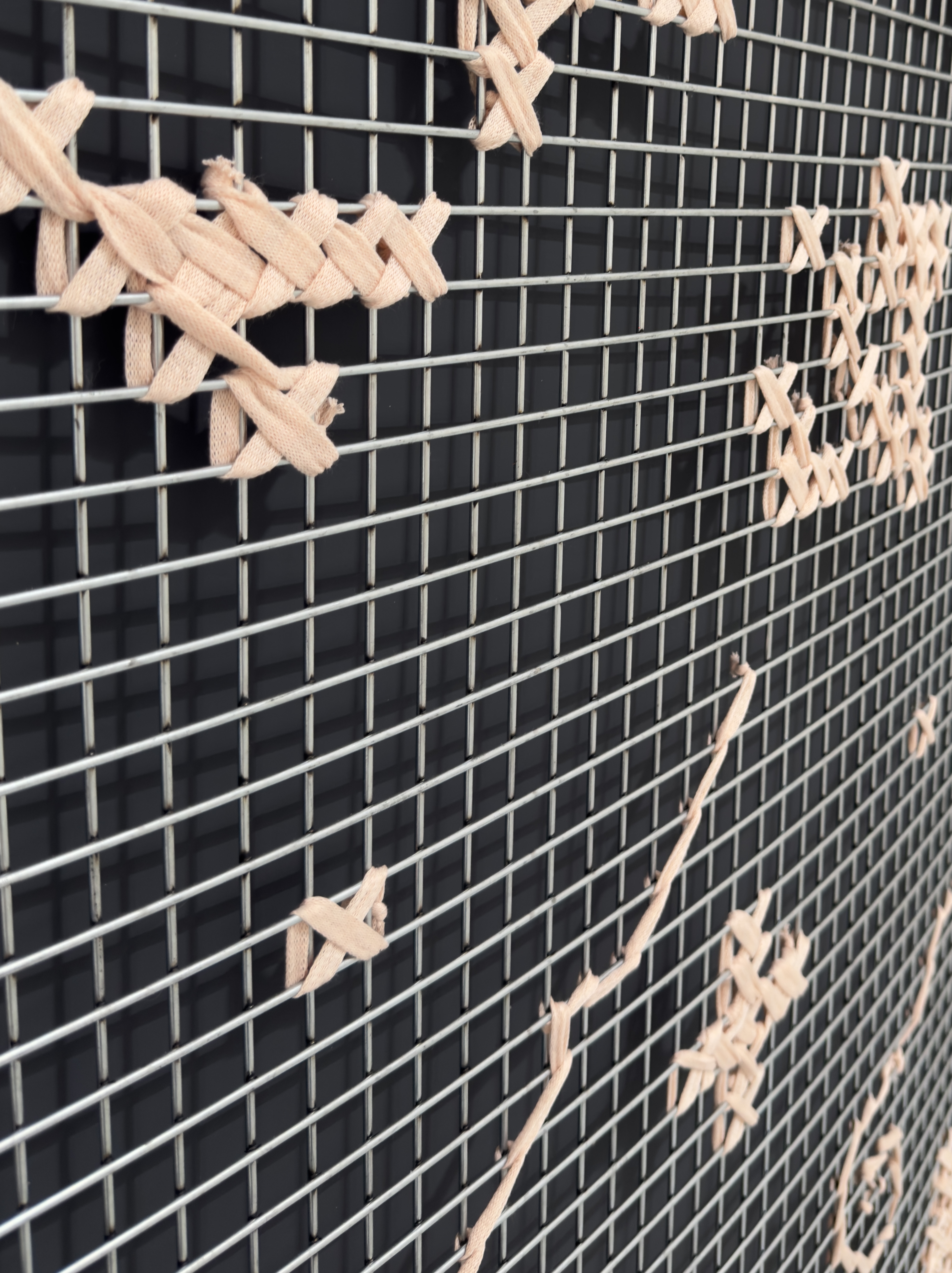 Alto ánimo, larga alegría.