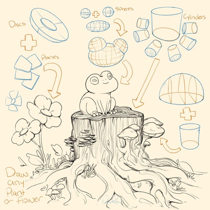 Dibujo Básico